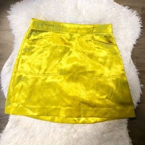 Silk Lime Skirt